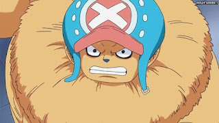 ワンピースアニメ パンクハザード編 614話 チョッパー Tony Tony Chopper | ONE PIECE Episode 614