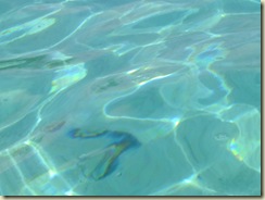 DSCF1620