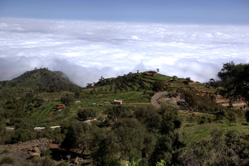 Photos of Eritrea  s Landscape  Madote