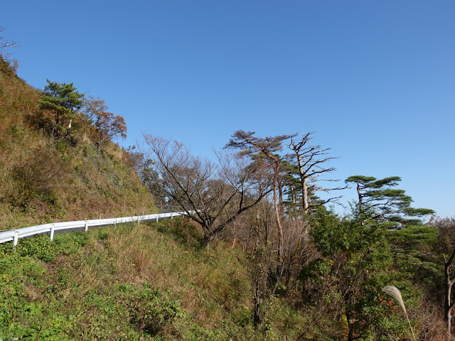 船上山の大山環状道路