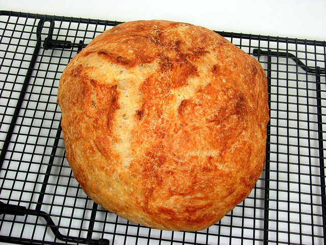 Speedy No Knead Bread Recipe