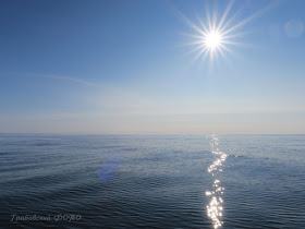 Белое Море. Воль Терского берега