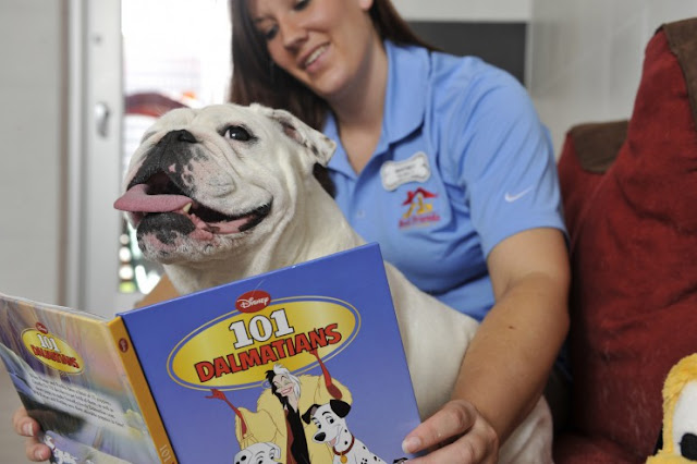 Best Friends Pet Care at Walt Disney World Resort is a luxury, state-of-the-art pet facility that offers boarding, daycare and grooming for dogs, cats and other family pets in a safe and fun environment. Before venturing to the parks, guests can stop by Best Friends Pet Care and let the pet professionals pamper their pooch for the day. Walt Disney World Resort (Garth Vaughan, photographer) 