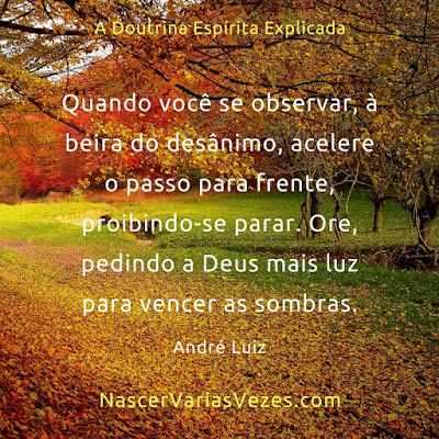 Quando você se observar, à beira do desânimo, acelere o passo para frente, proibindo-se parar. Ore, pedindo a Deus mais luz para vencer as sombras. André Luiz  A Doutrina Espírita Explicada