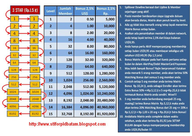 "penjelasan matrix bonus stiforp"