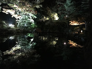 新潟県・弥彦公園「もみじ谷」紅葉
