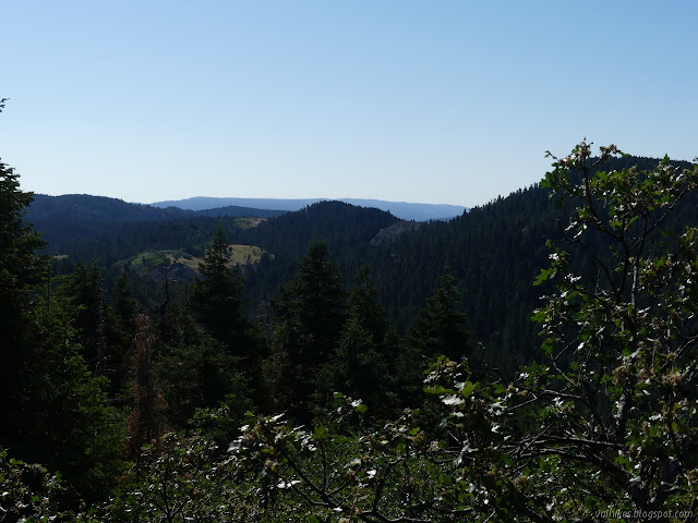 another forested peak and meadows