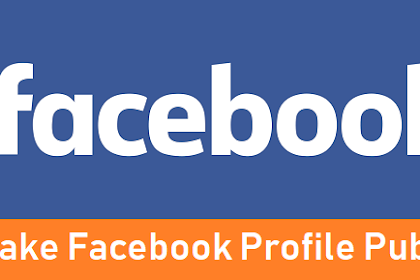 How To Brand Facebook Profile Populace Amongst Pictures