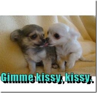 574461db-b509-49d5-b9b8-24b6b8ecb0b2kissy