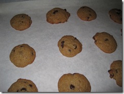 healthy choc chip cookies