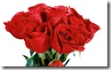  widescreen wallpapers