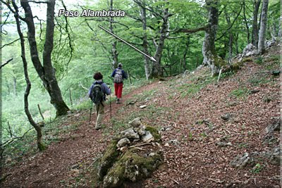 Cruzamos por varias alambradas