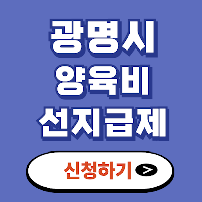 광명시 양육비
