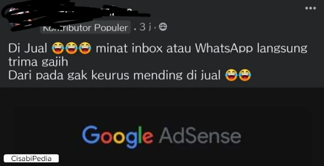 di_terima_google_adsense