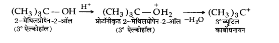 Solutions Class 12 रसायन विज्ञान-II Chapter-3 (ऐल्कोहॉल, फीनॉल एवं ईथर)