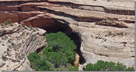 View Kachina Bridge, Natural Bridges National Monument