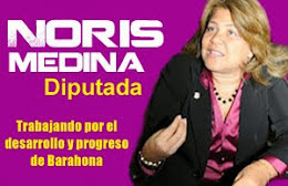 Publicidad Noris medina