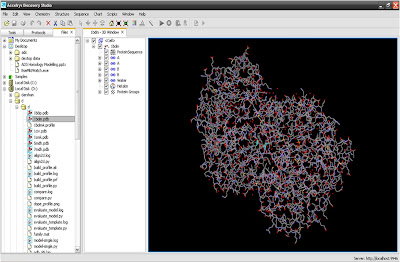 HOMOLOGY MODELING