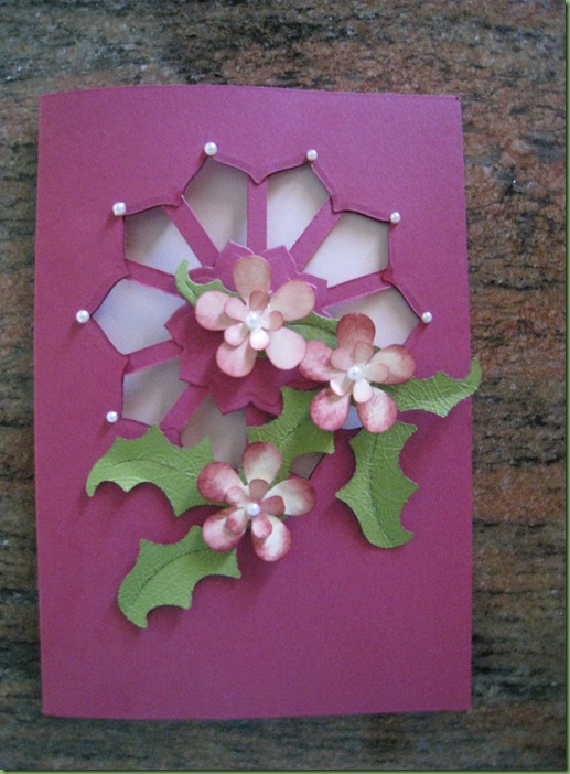 Trish's Cards January 2011 101