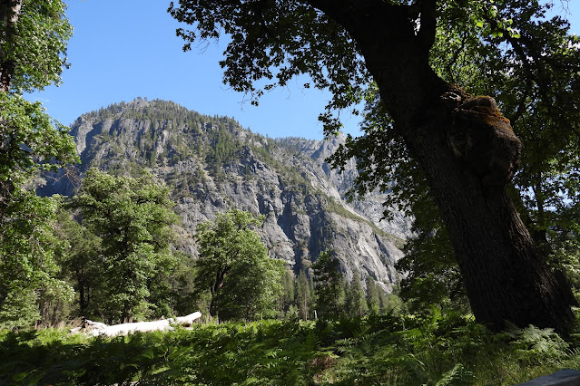 Day 8 - Yosemite (2)