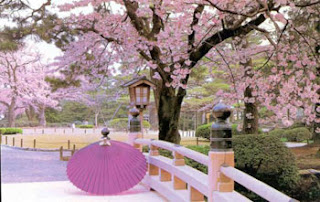 japanese sceneries spring