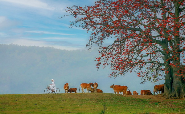 Photo: Hùng Nguyễn