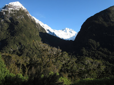 Paisajes de la carretera Milford. Parque Nacional Fiordland, Nueva Zelanda