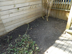 Riverdale Spring Cleanup Backyard After by Paul Jung Gardening Services--a Toronto Organic Gardening Company