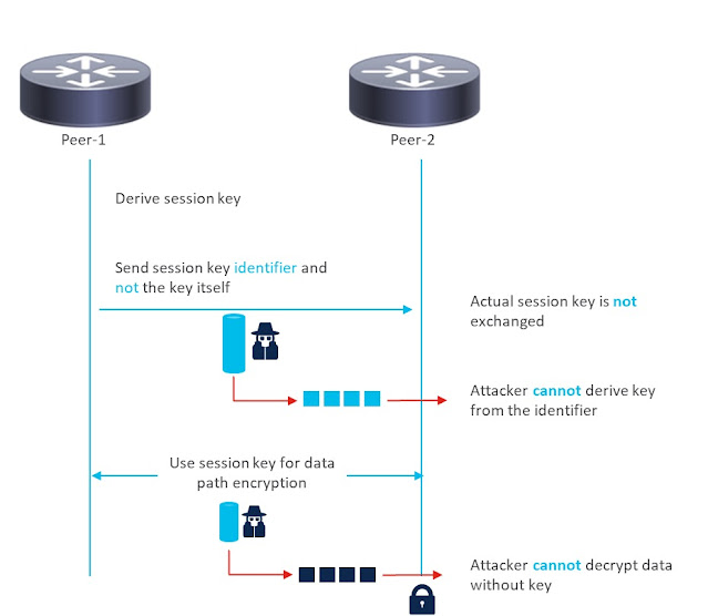 Safeguard Your Network in a Post-Quantum World