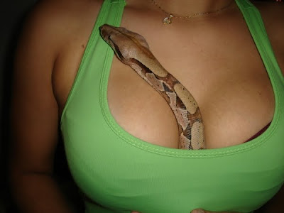 sexy snake girl