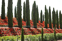 Israel Travel Guide - Shrine of Bahá'u'lláh - Baha'i Garden at Bahji