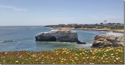 Natural Bridges State Park, Santa Cruz, CA