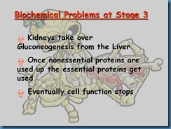 Slide53