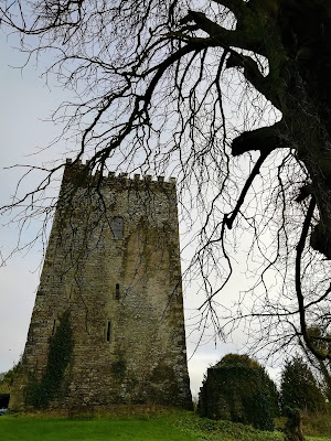 Irish Tower House