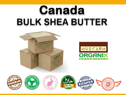 toronto shea butter