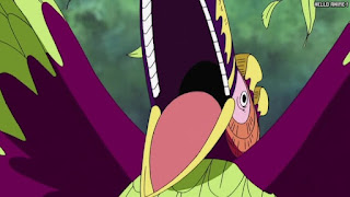 ワンピース アニメ 空島 スカイピア 164話 サウスバード | ONE PIECE Episode 164 Skypiea