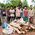 Loggers sent back by authorities in Thailand