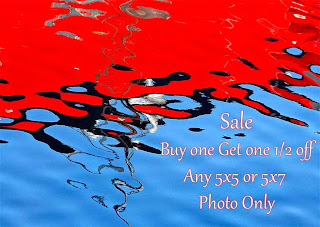 https://www.etsy.com/listing/128024428/bogo-half-off-5x5-or-5x7-photograph-buy?ref=shop_home_active_2