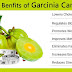 Interesting Facts About Garcinia Cambogia Extract