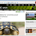 3 Handy Chrome Extensions to Turn Web Pages to PDFs