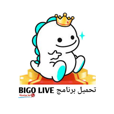 تحميل برنامج BIGO LIVE