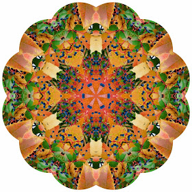 Kaleidoscope Photo Art fall by Jeanne Selep