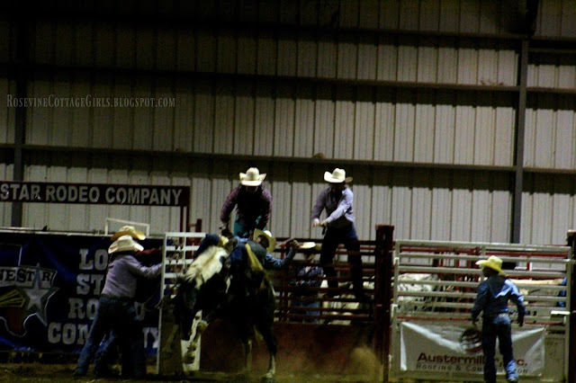 #rodeo #broncriding #cowboys #cows #horses