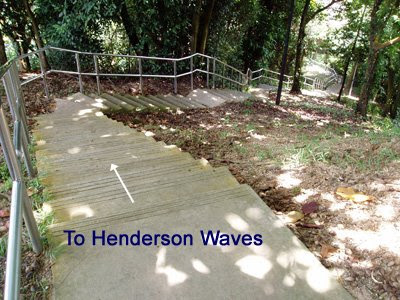 17_TrailToHendersonWaves_DownPath