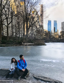 the pond central park