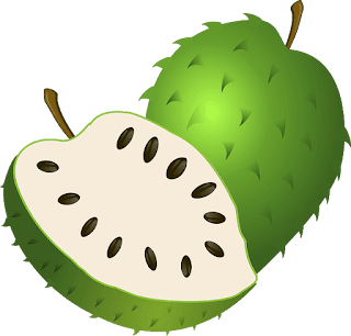 Graviola (Annona muricata) for diabetes patients