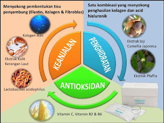 keistimewaan collagen shaklee