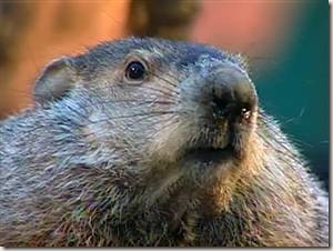 phil