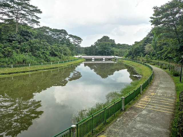 Springleaf Nature Park - Seletar River