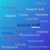 Amino Acids | History | Structure | List of Amino acids | Industry application......